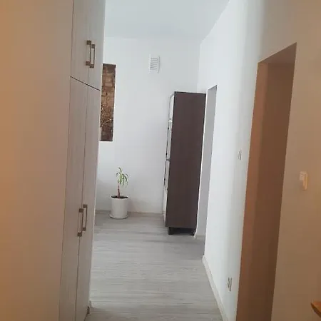 Apartment On Kudirkos 20 *