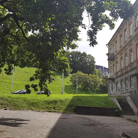 On Kudirkos 20 * Vilnius